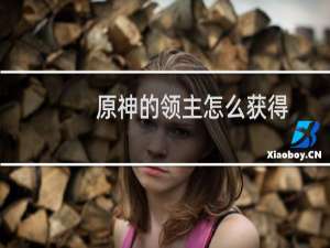 原神的领主怎么获得