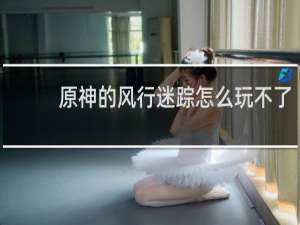 原神的风行迷踪怎么玩不了