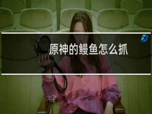 原神的鳗鱼怎么抓