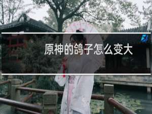原神的鸽子怎么变大
