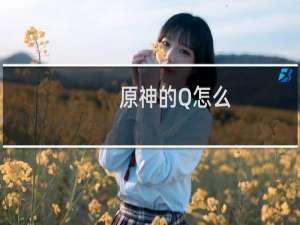 原神的Q怎么