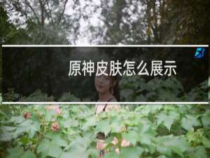 原神皮肤怎么展示