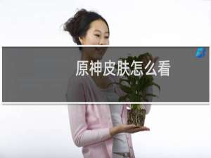 原神皮肤怎么看