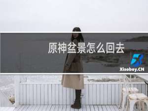 原神盆景怎么回去