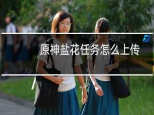原神盐花任务怎么上传