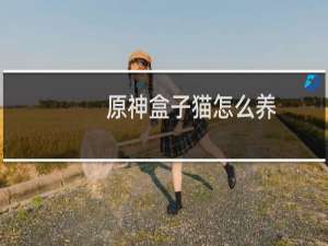 原神盒子猫怎么养