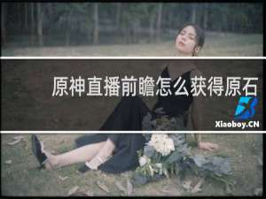 原神直播前瞻怎么获得原石