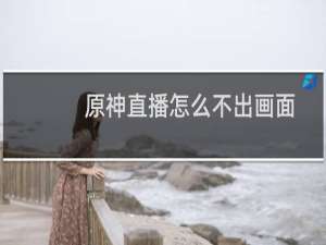 原神直播怎么不出画面