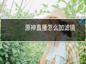原神直播怎么加滤镜