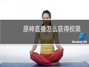 原神直播怎么获得权限