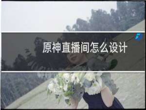 原神直播间怎么设计