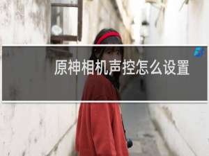 原神相机声控怎么设置