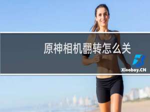 原神相机翻转怎么关