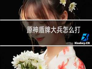 原神盾牌大兵怎么打