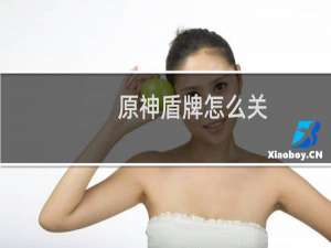 原神盾牌怎么关