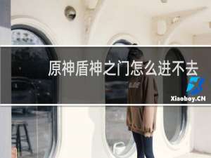 原神盾神之门怎么进不去