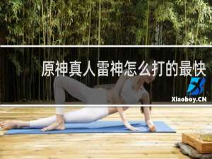 原神真人雷神怎么打的最快