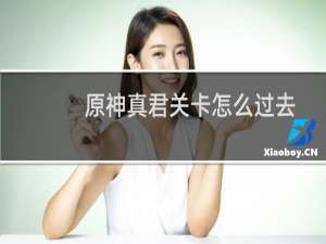 原神真君关卡怎么过去