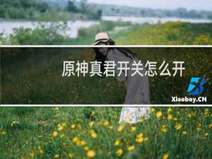 原神真君开关怎么开