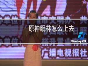 原神眠林怎么上去