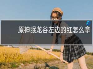 原神眠龙谷左边的红怎么拿
