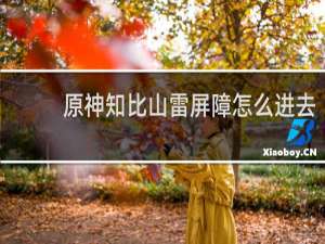 原神知比山雷屏障怎么进去