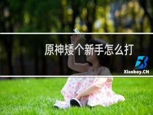 原神矮个新手怎么打