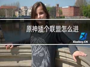 原神矮个联盟怎么进