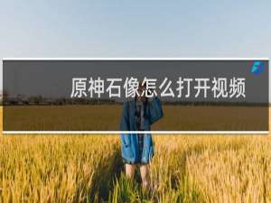 原神石像怎么打开视频