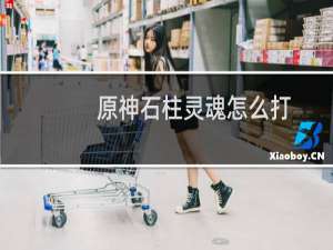 原神石柱灵魂怎么打