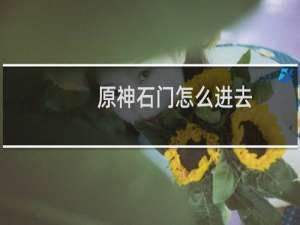 原神石门怎么进去