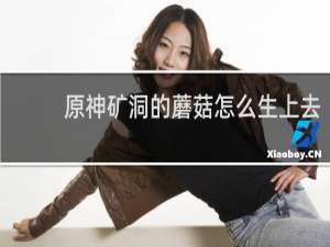 原神矿洞的蘑菇怎么生上去