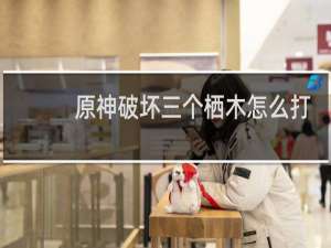 原神破坏三个栖木怎么打