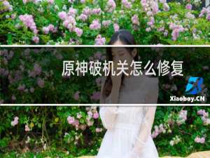 原神破机关怎么修复