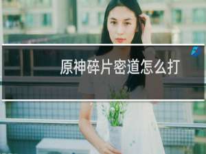 原神碎片密道怎么打