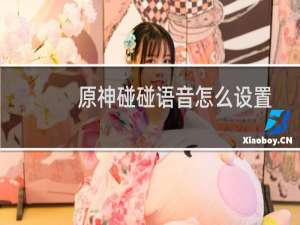 原神碰碰语音怎么设置