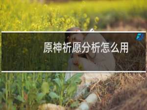 原神祈愿分析怎么用