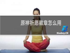 原神祈愿徽章怎么用