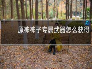 原神神子专属武器怎么获得