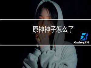 原神神子怎么了