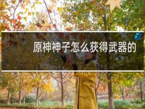 原神神子怎么获得武器的