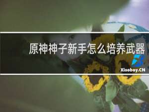 原神神子新手怎么培养武器