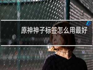 原神神子标签怎么用最好