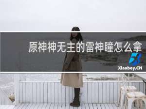 原神神无主的雷神瞳怎么拿