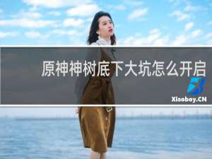 原神神树底下大坑怎么开启