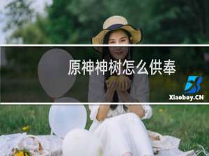 原神神树怎么供奉