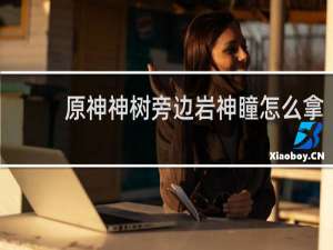 原神神树旁边岩神瞳怎么拿