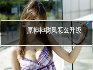 原神神树风怎么升级