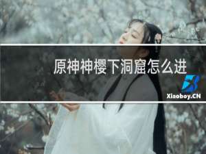 原神神樱下洞窟怎么进