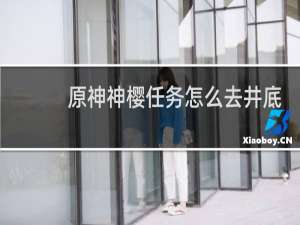 原神神樱任务怎么去井底